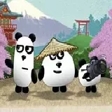 3 Pandas In Japan