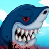 Angry Shark Miami