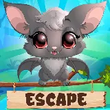 Beautiful Little Bat Escape
