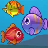 Big Fish Eat Small Fish 2