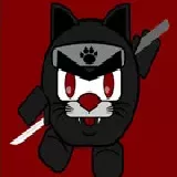 Black Meow Ninja