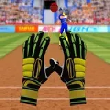 Cricket Fielder Challenge