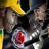 Cricket World Cup