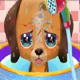Cute Puppy Care
