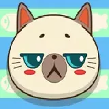 Funny Kitty Dress up