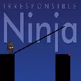 Irresponsible ninja