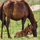 Jigsaw Puzzle Domesticated Animals