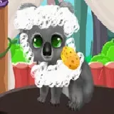 Paws To Beauty: Back To The Wild