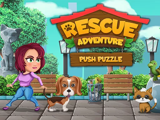 Push Puzzle Rescue Adventure