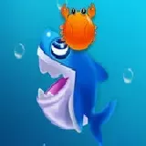 Shark Dash
