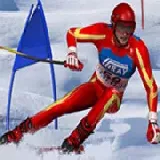 Slalom Ski Simulator